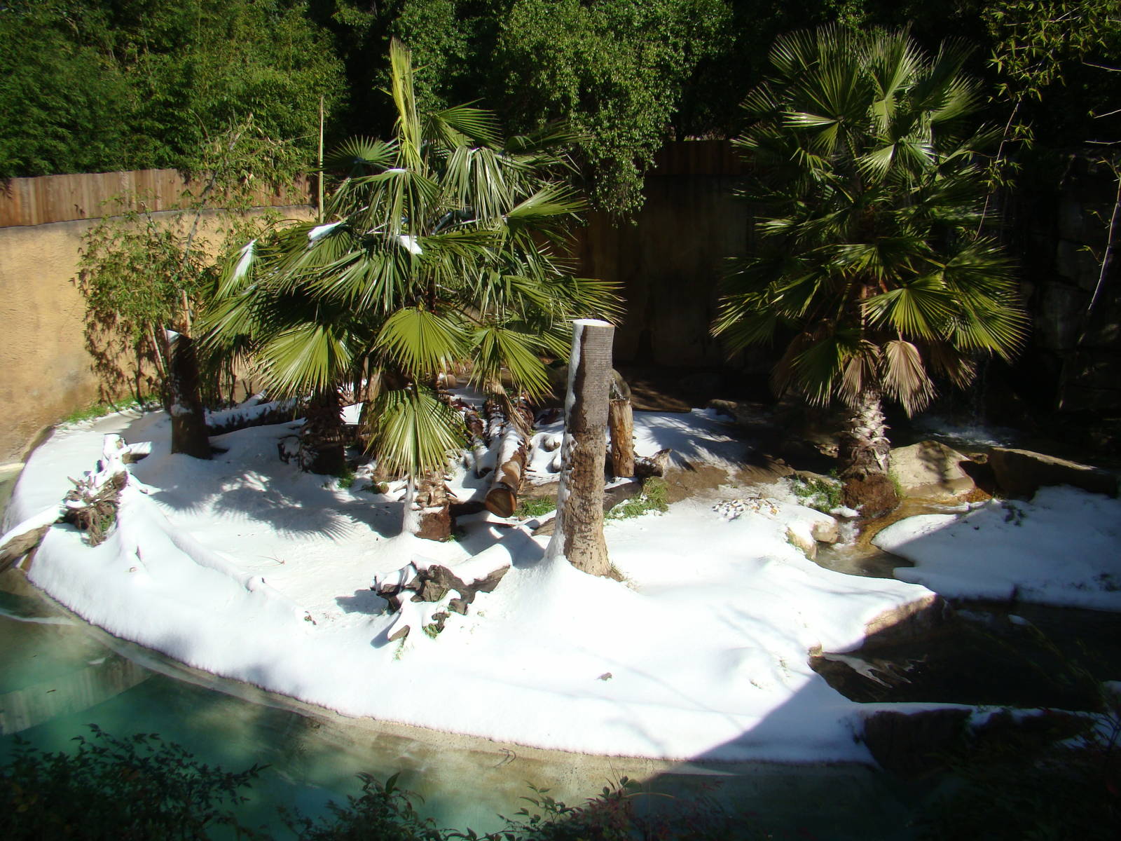 Sumatran Tiger exhibit