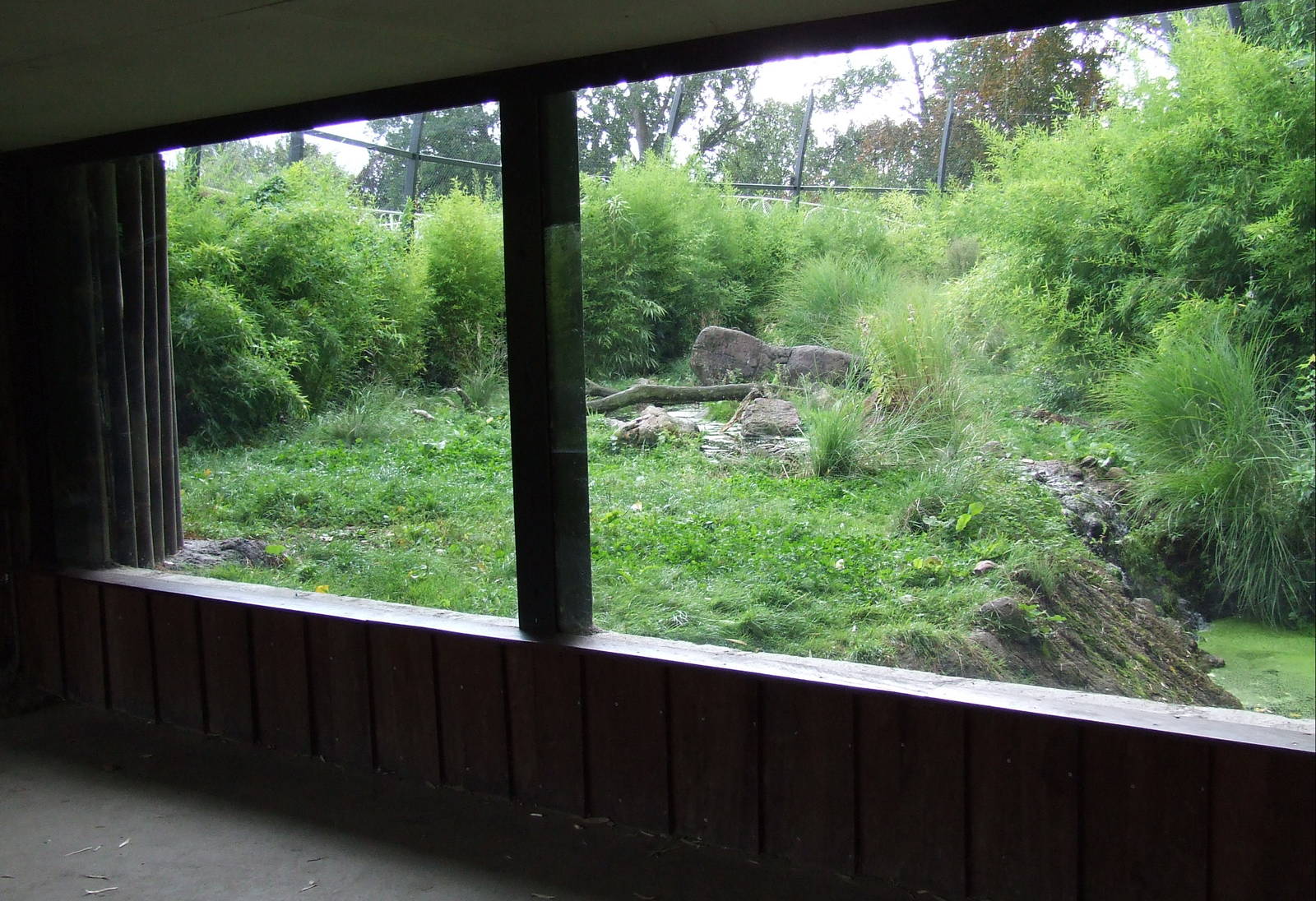 Sumatran Tiger exhibit