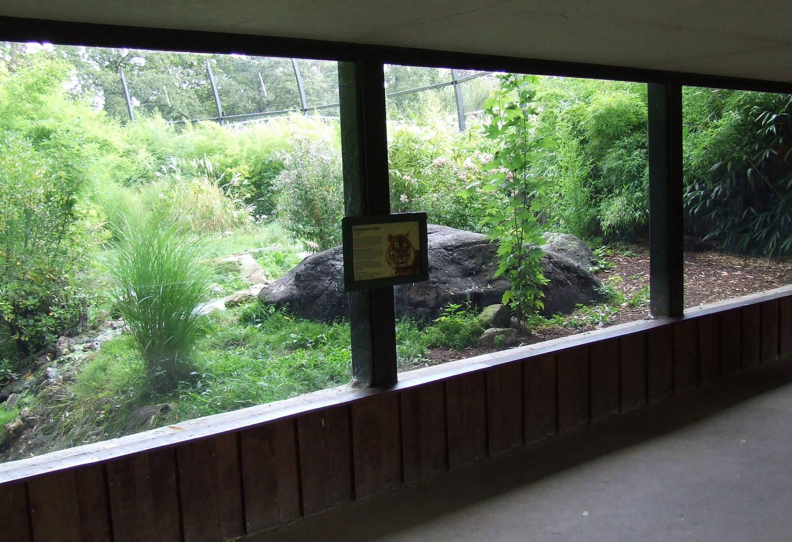Sumatran Tiger exhibit