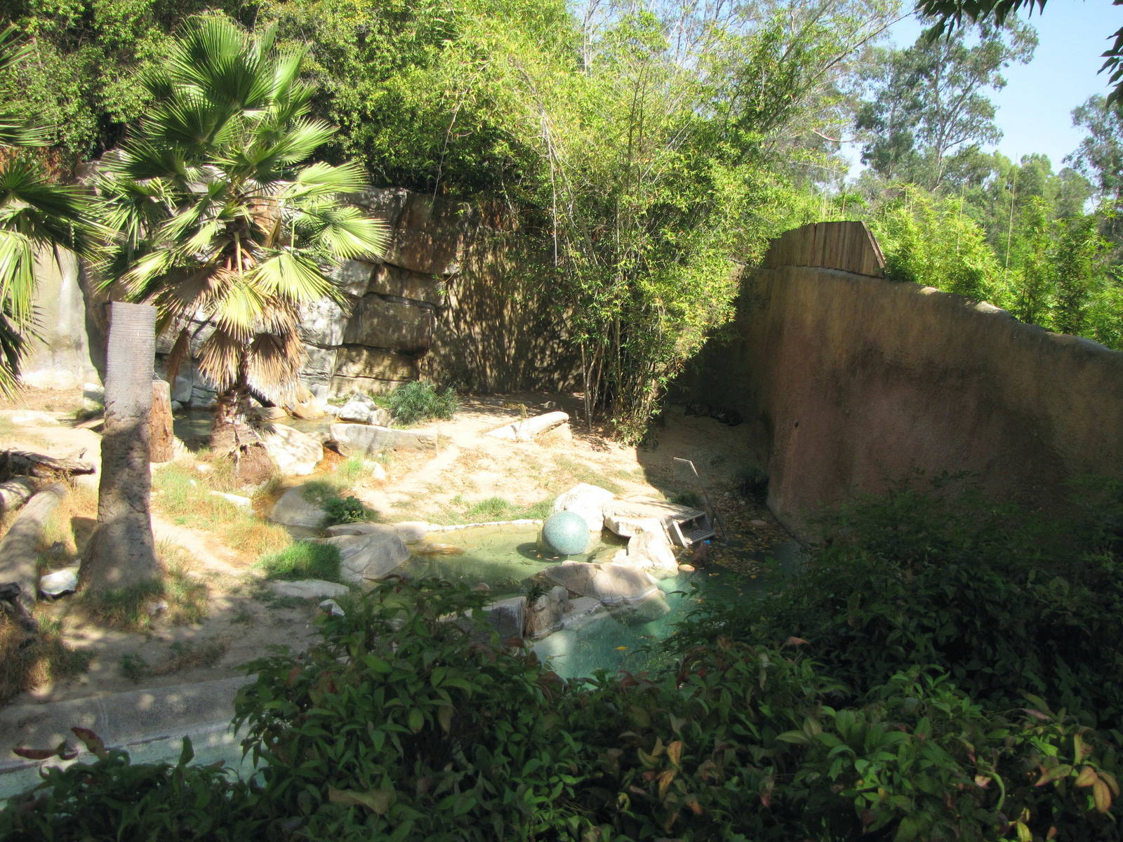 Sumatran Tiger Habitat