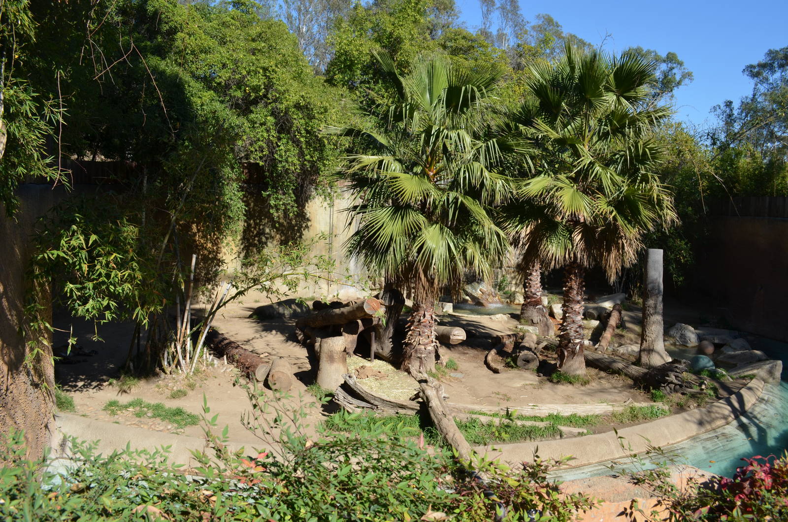 Sumatran Tiger Habitat