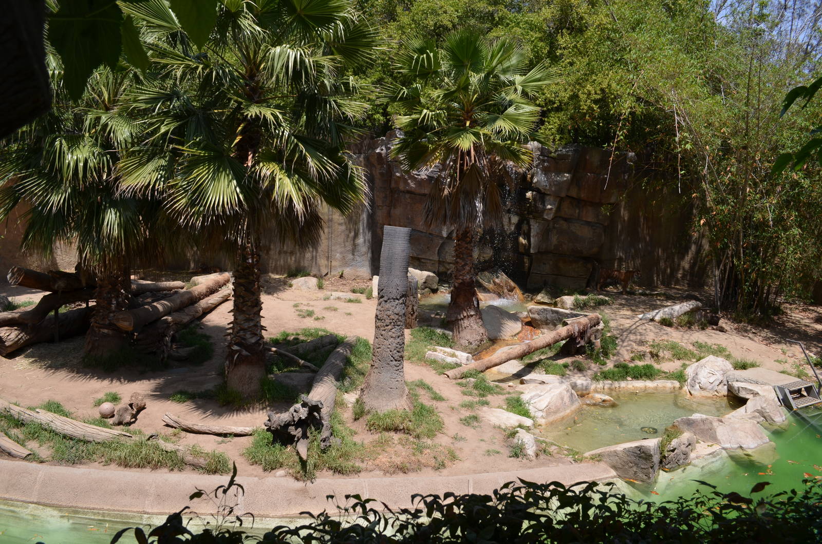 Sumatran Tiger Habitat