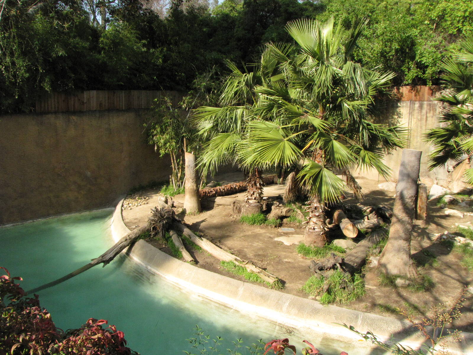 Sumatran Tiger Habitat