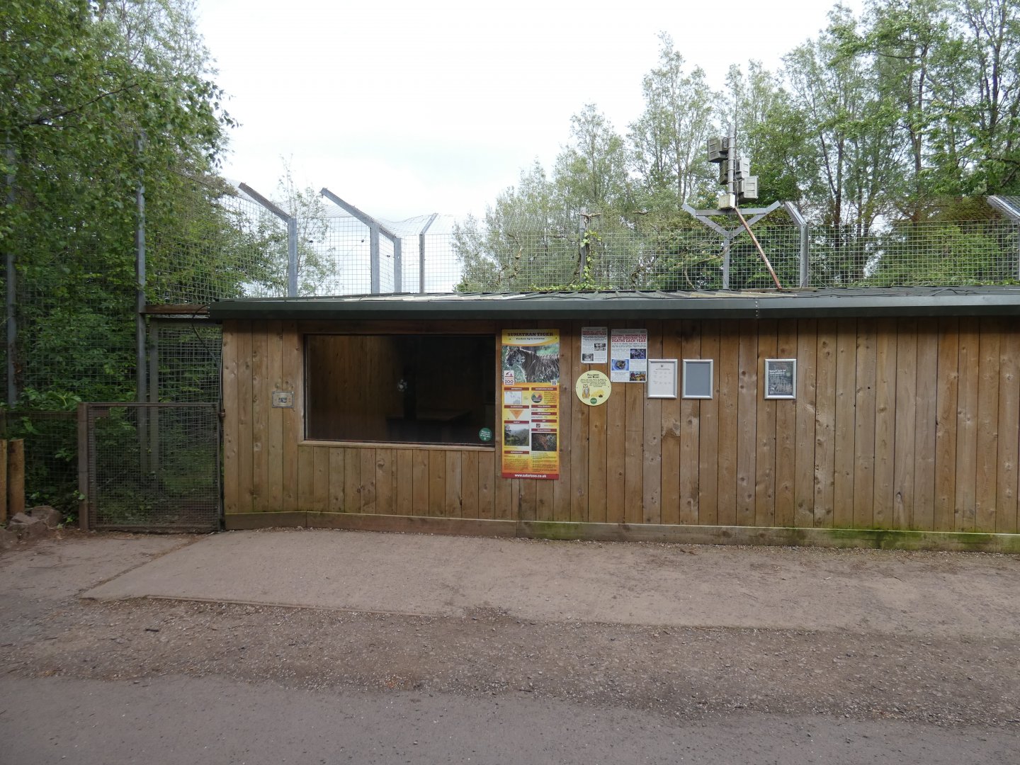 Sumatran tiger house