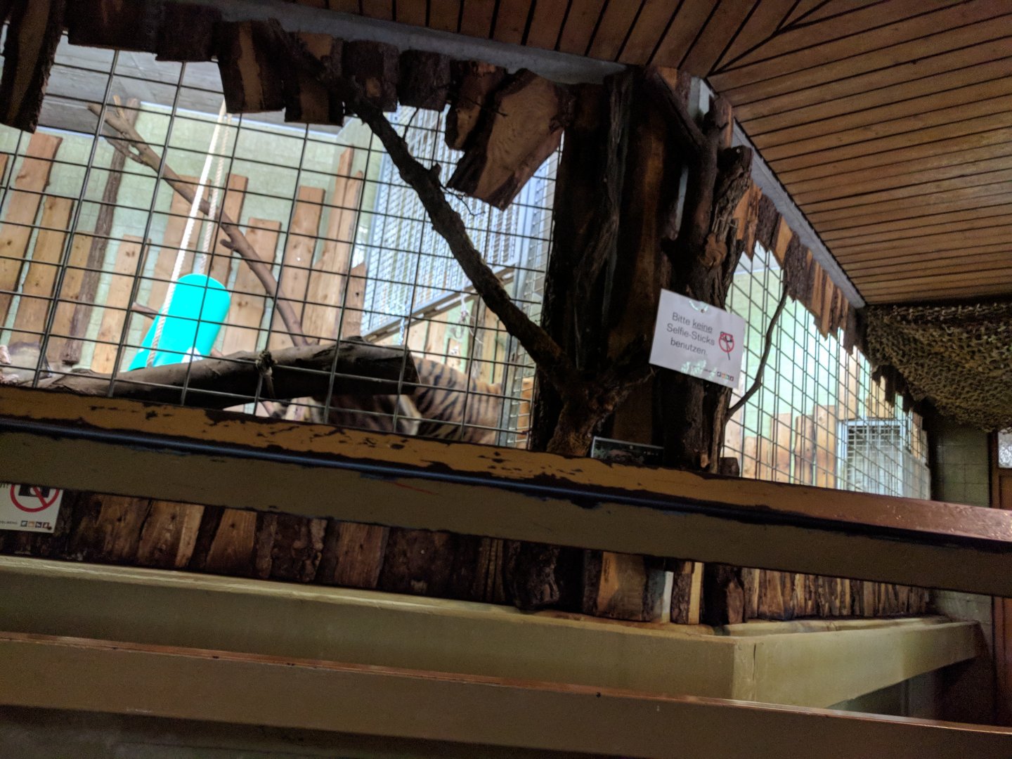 Sumatran Tiger Indoor Enclosure