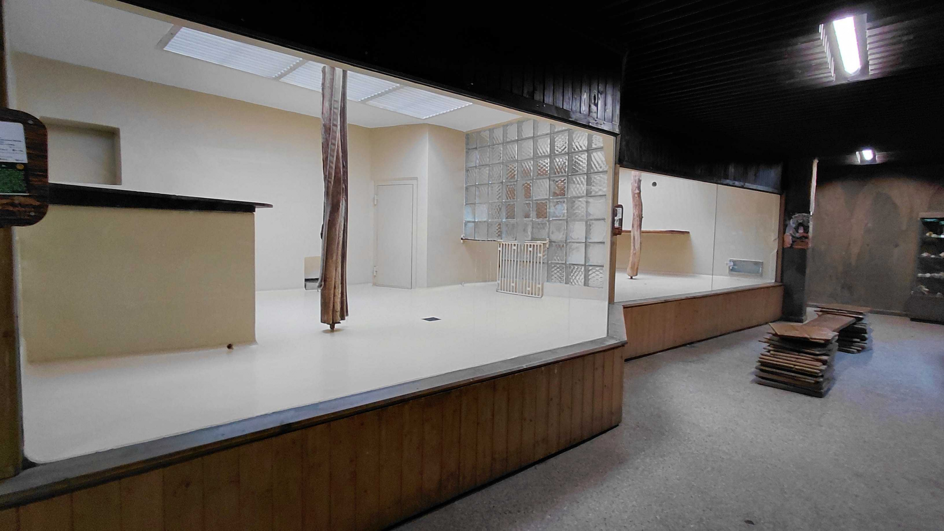 Sumatran tiger indoor exhibit