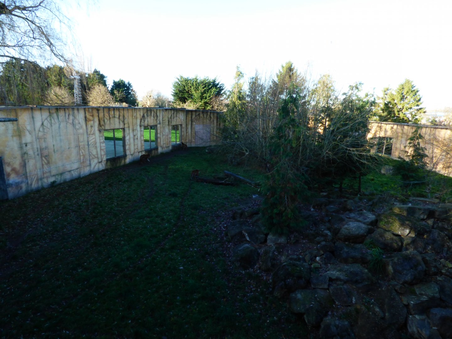 Sumatran Tiger Left Enclosure
