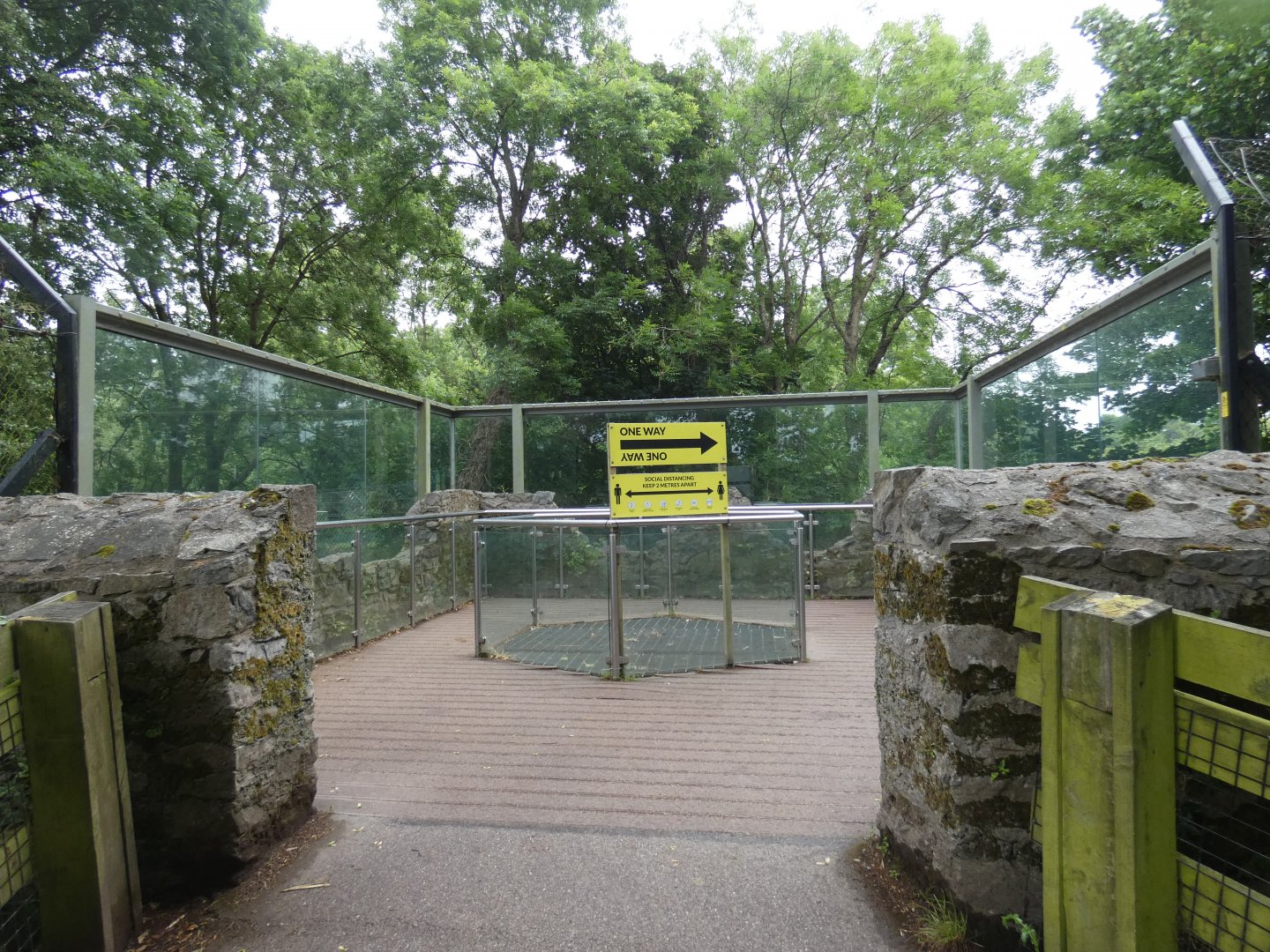 Sumatran tiger limestone viewing area