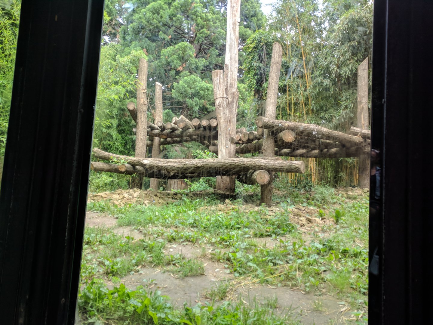 Sumatran Tiger Outdoor Enclosure