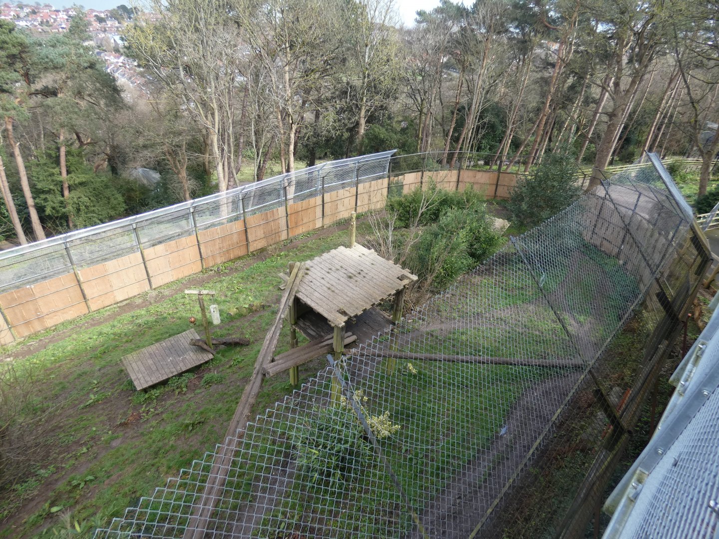Sumatran tiger outdoor enclosure