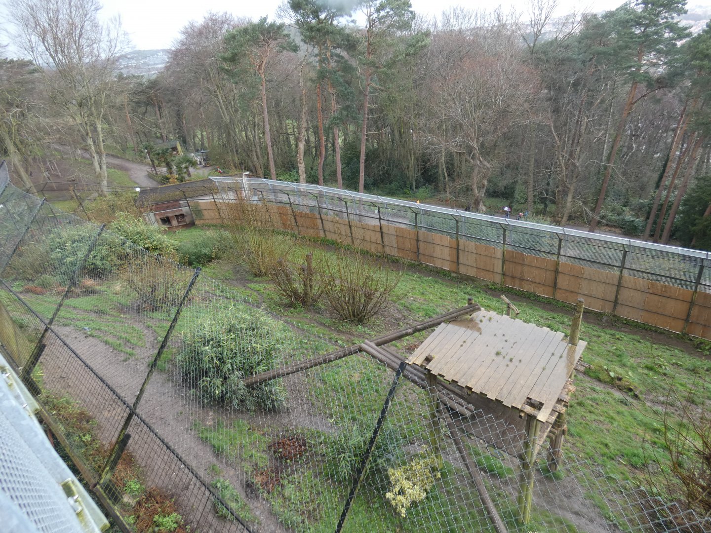 Sumatran tiger outdoor enclosure