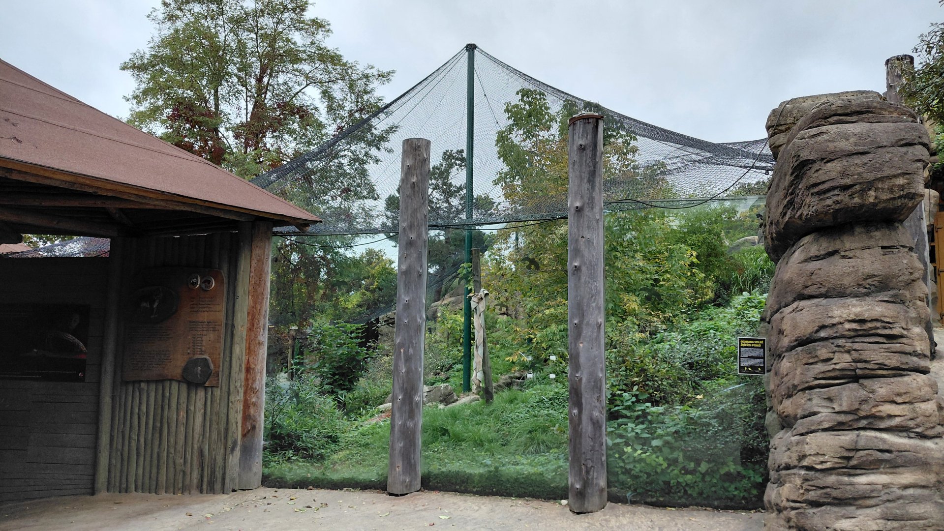 Sumatran tiger outdoor exhibit
