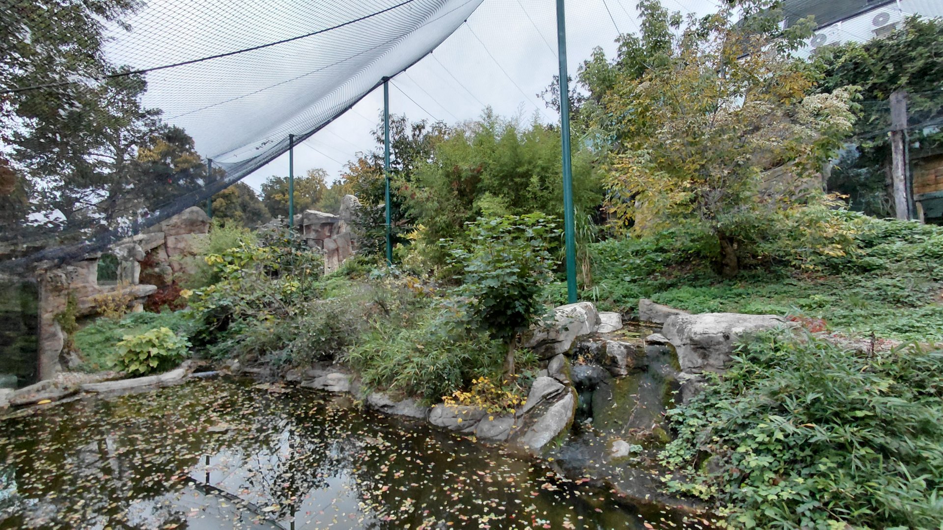 Sumatran tiger outdoor exhibit
