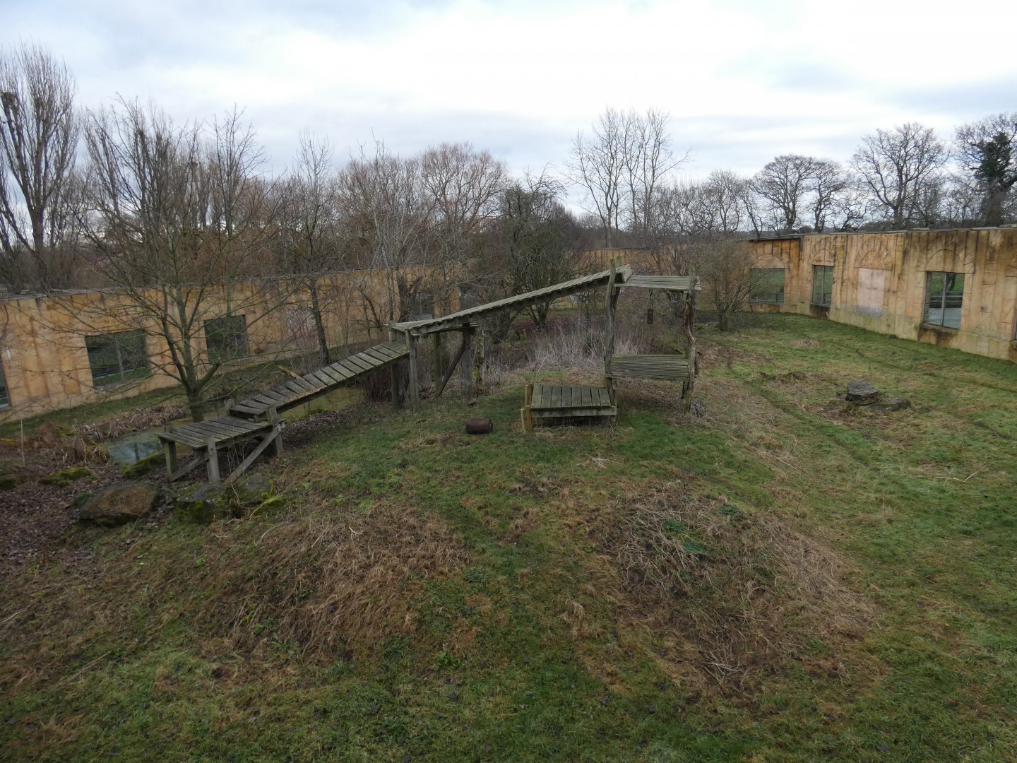 Sumatran tiger paddock