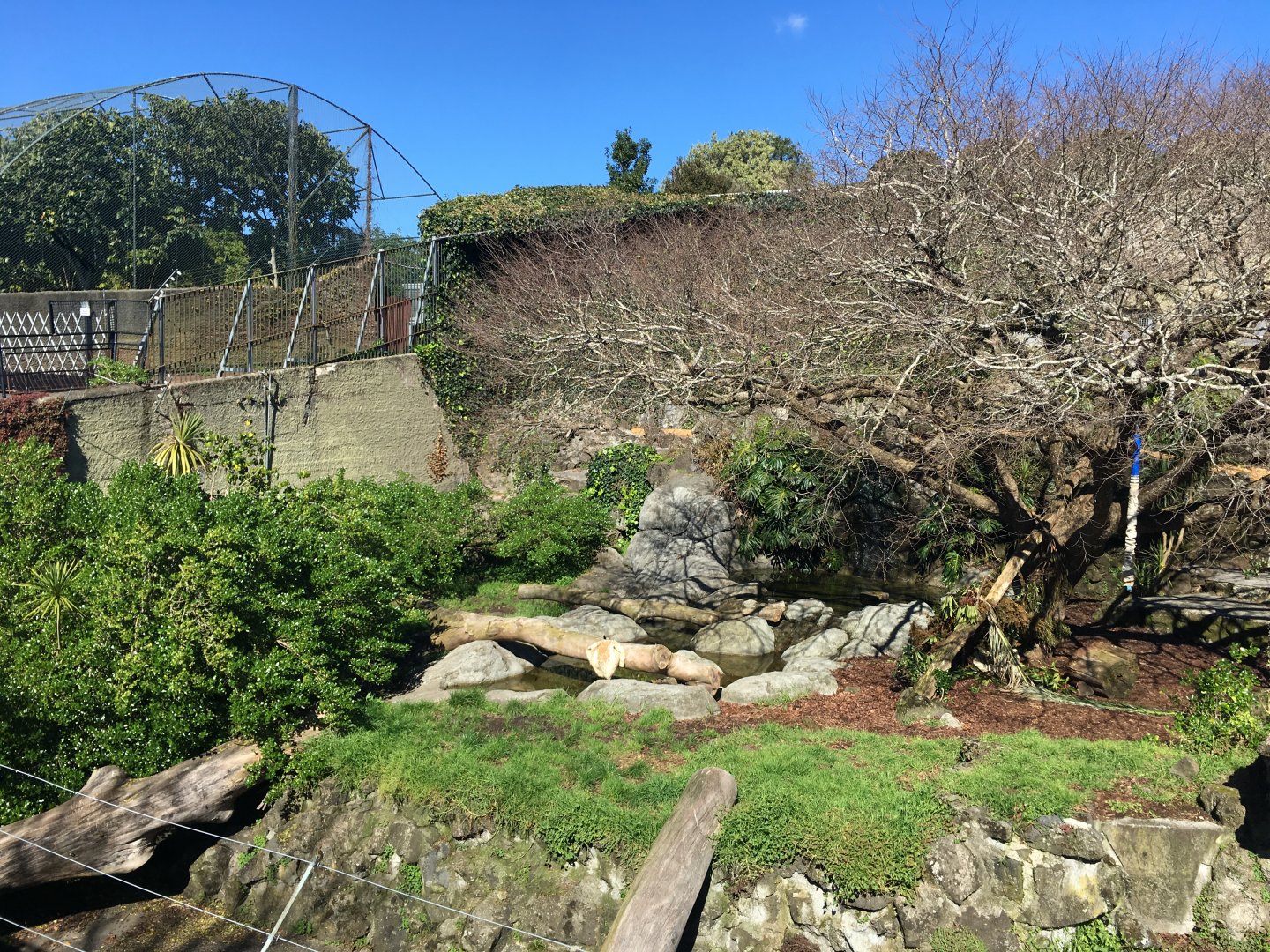 Sumatran Tiger Pit (1922-2018)