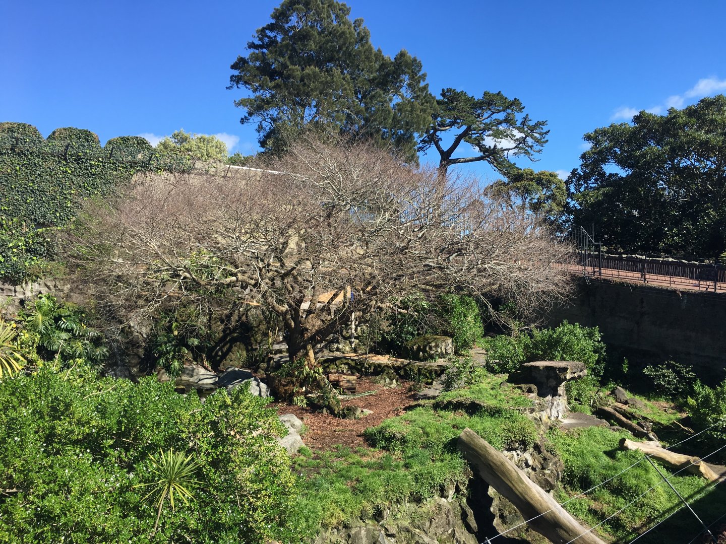 Sumatran Tiger Pit (1922-2018)