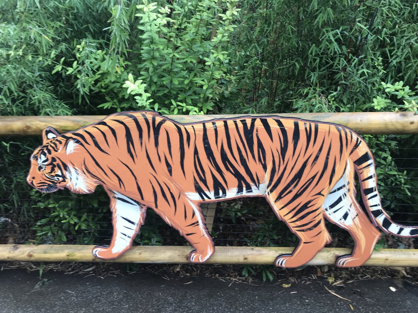 Sumatran tiger sign