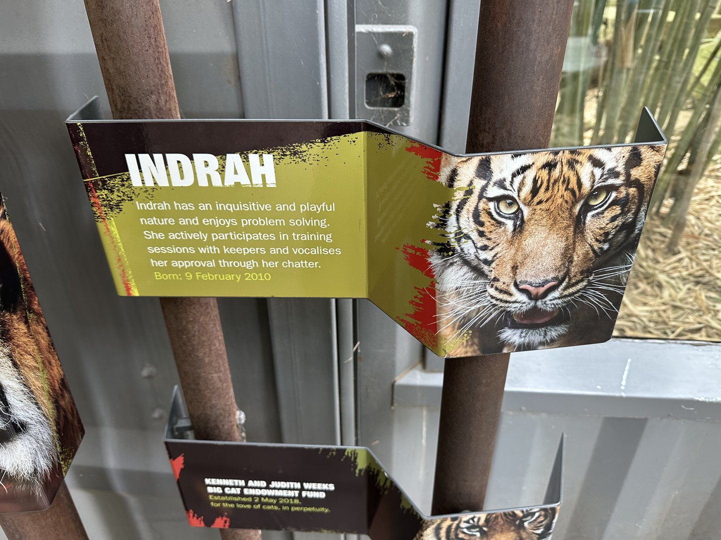 Sumatran Tiger Sign
