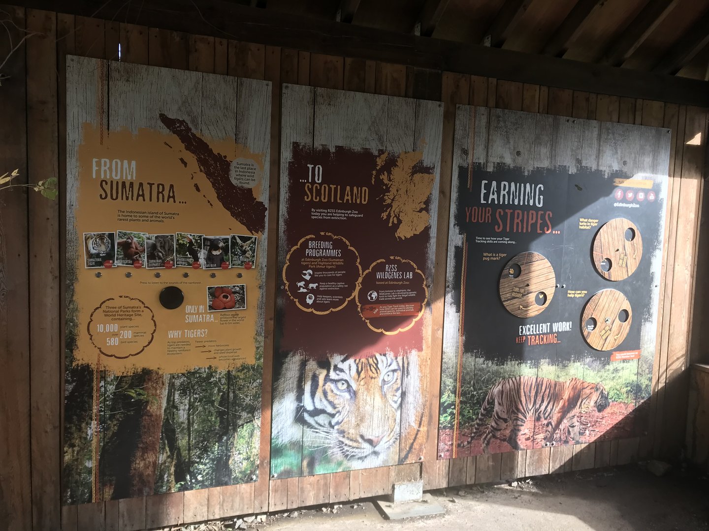 Sumatran tiger signage in viewing hut