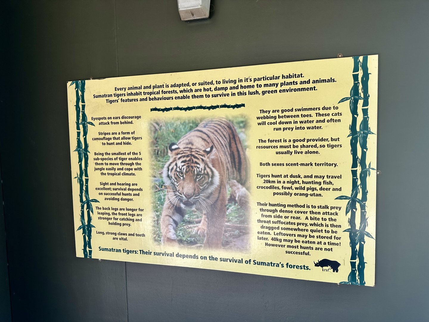 Sumatran Tiger Signage