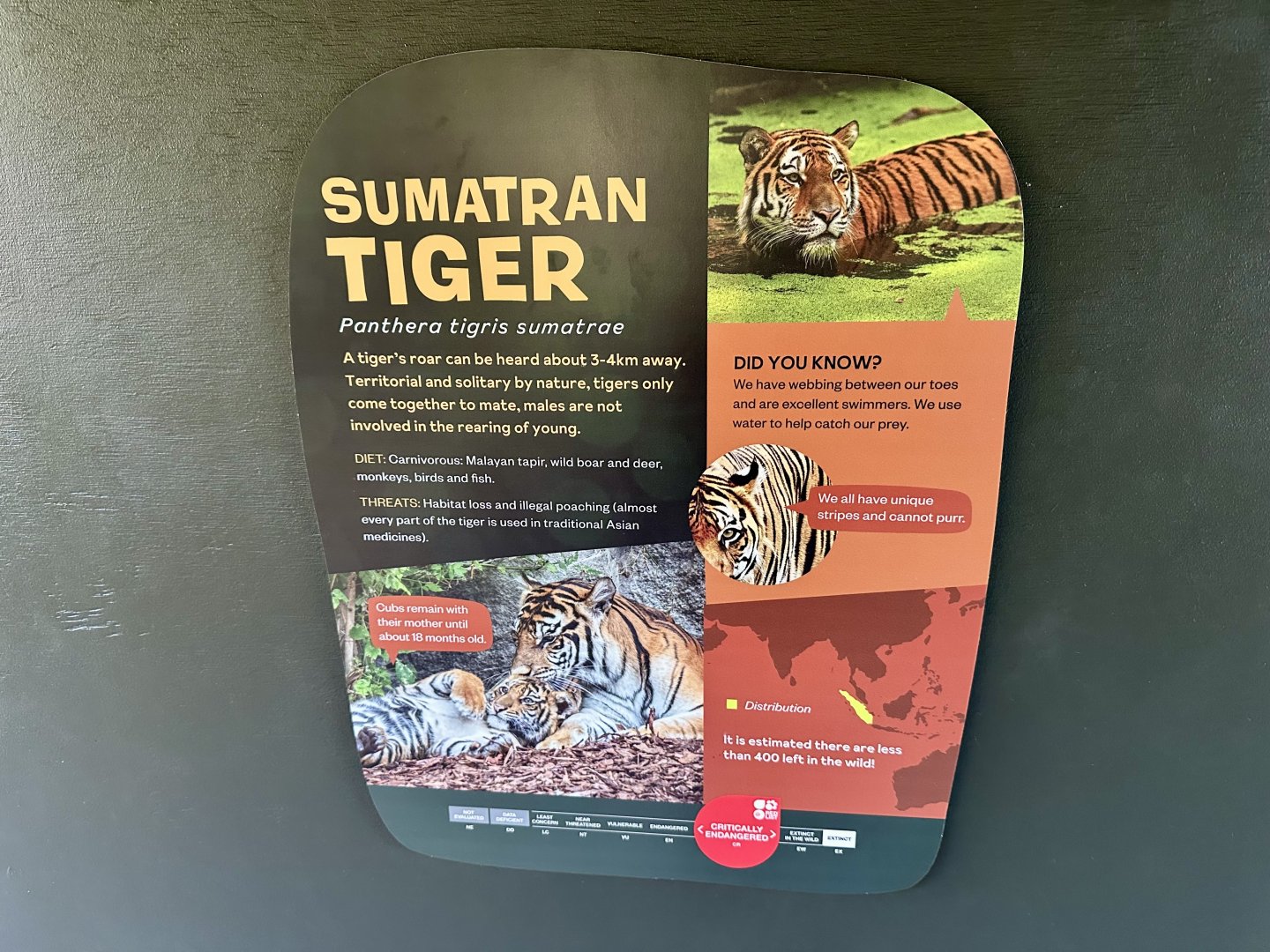 Sumatran Tiger Signage