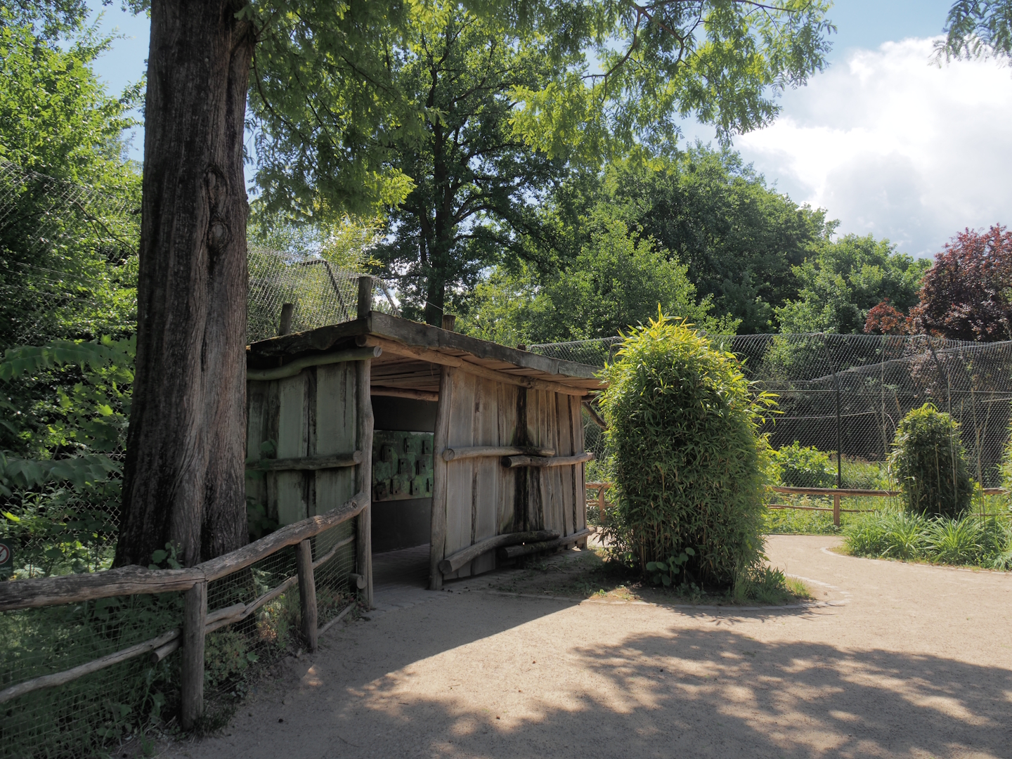 Sumatran tiger viewing and education area, 2025-05-22
