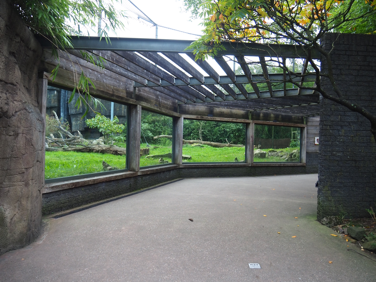 Sumatran tiger viewing area, 2023-10-07