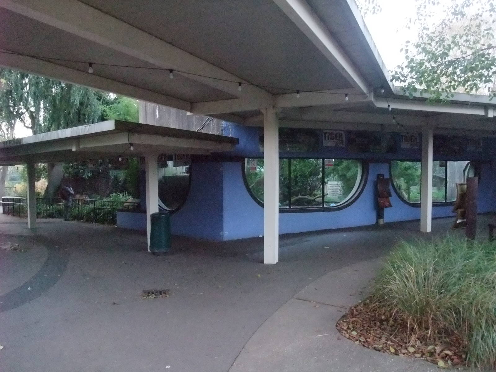 Sumatran Tiger Viewing Area at London, 16/11/11