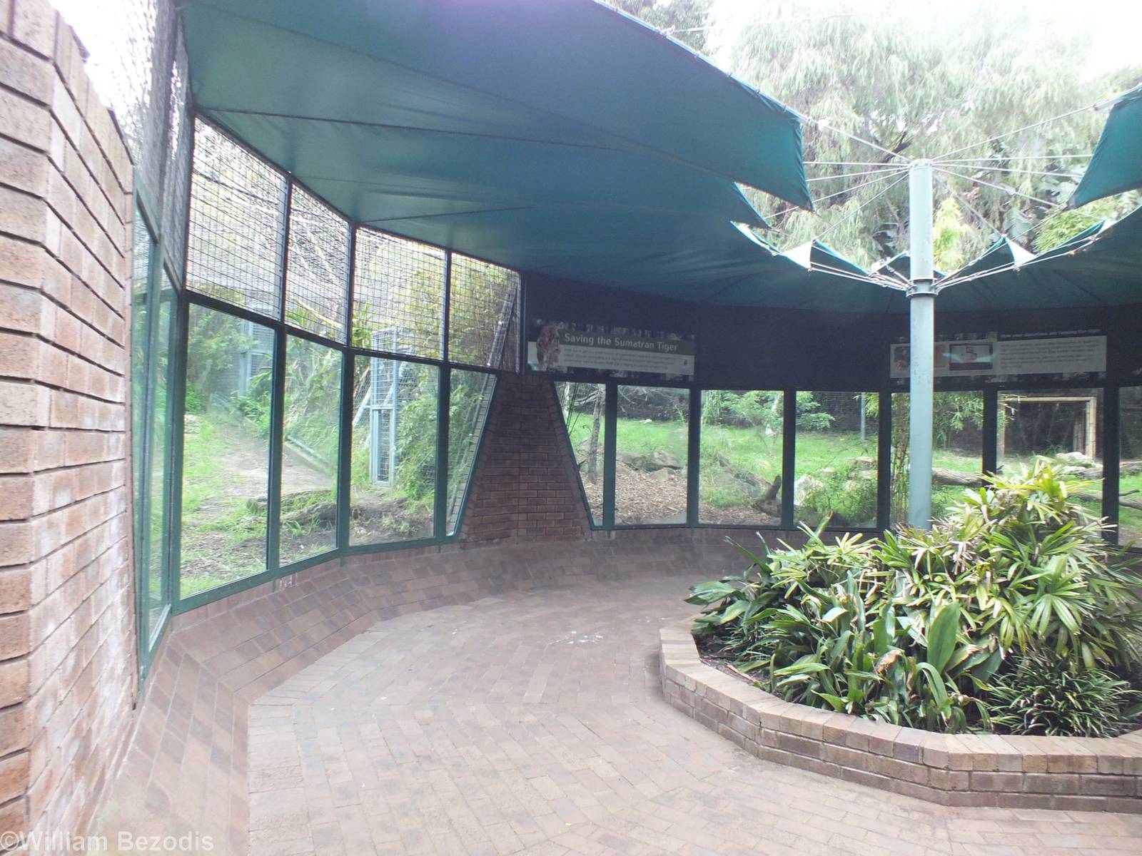 Sumatran Tiger Viewing Area