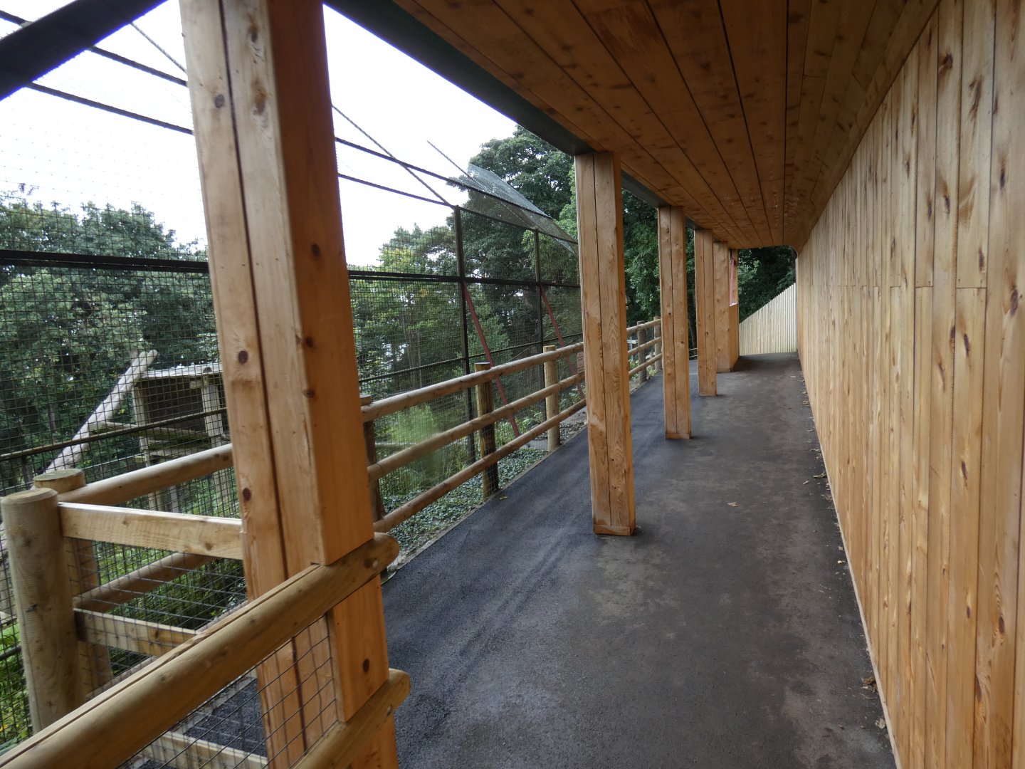 Sumatran Tiger viewing area