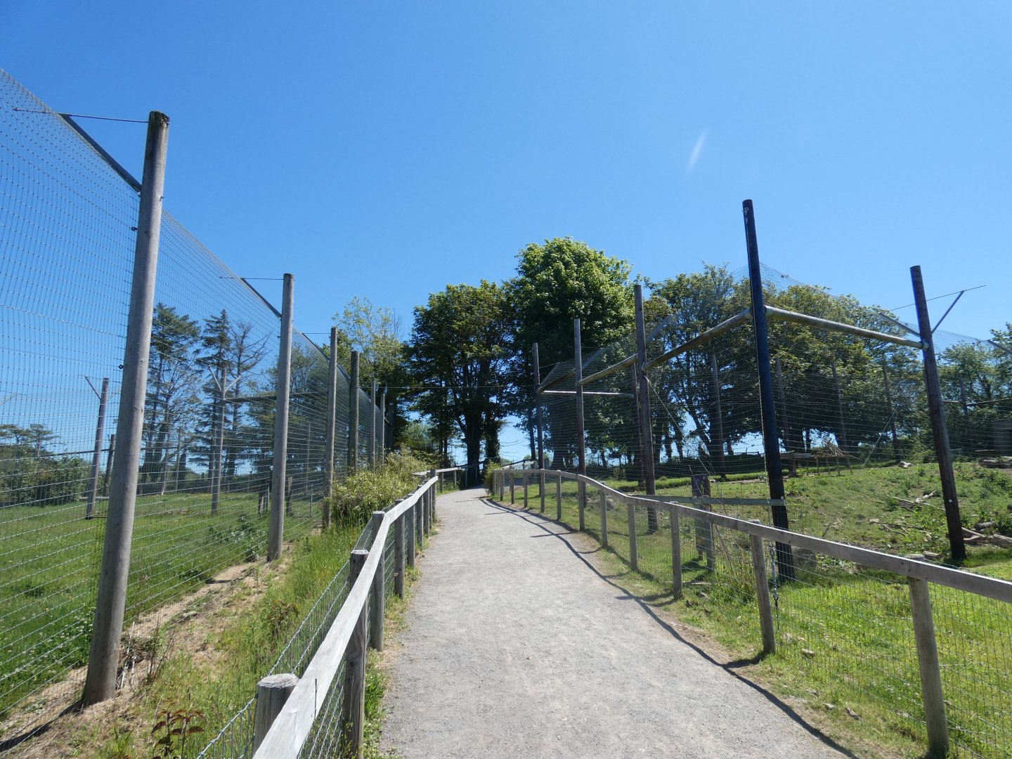 Sumatran tiger viewing area