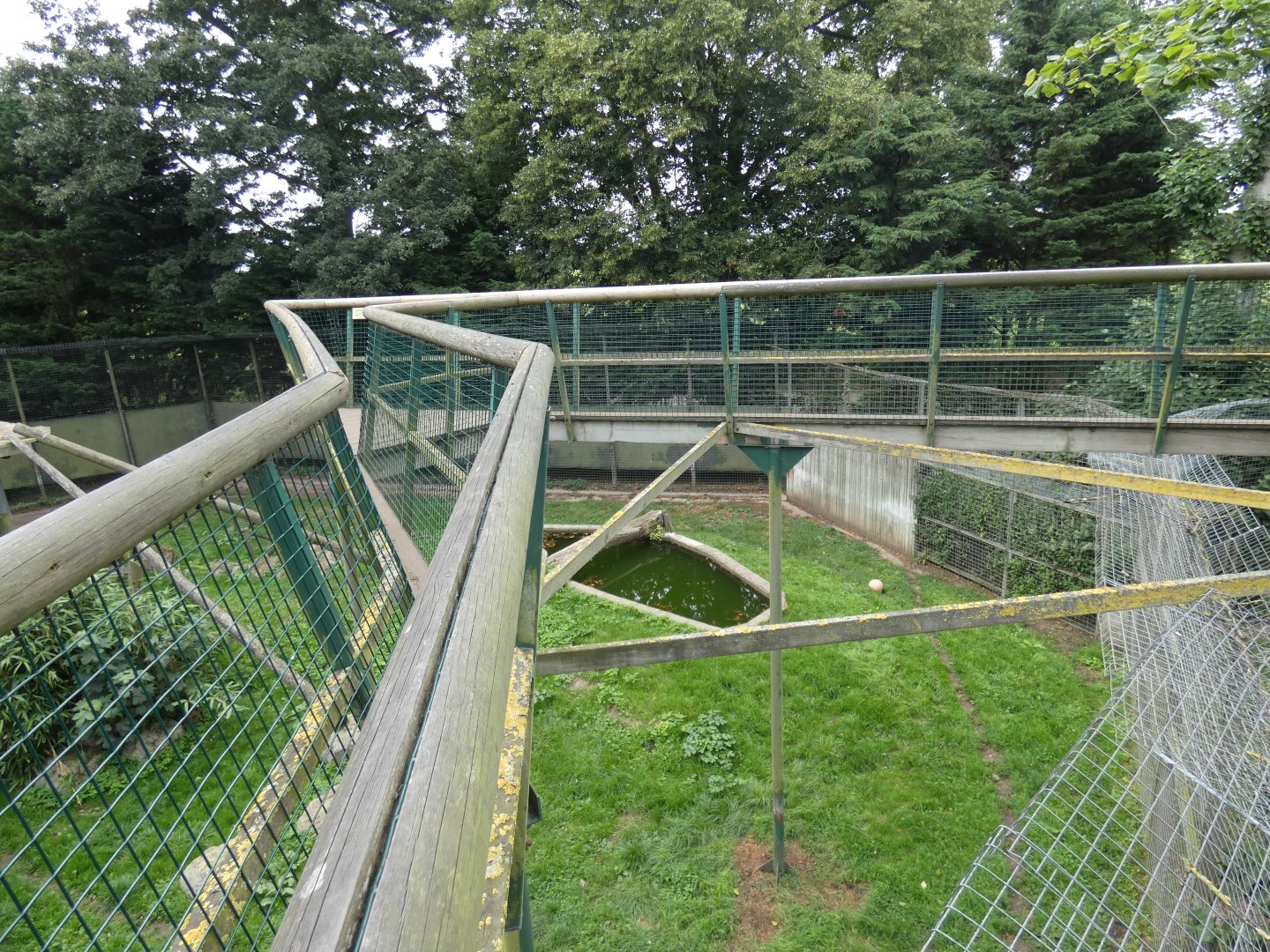 Sumatran tiger viewing area