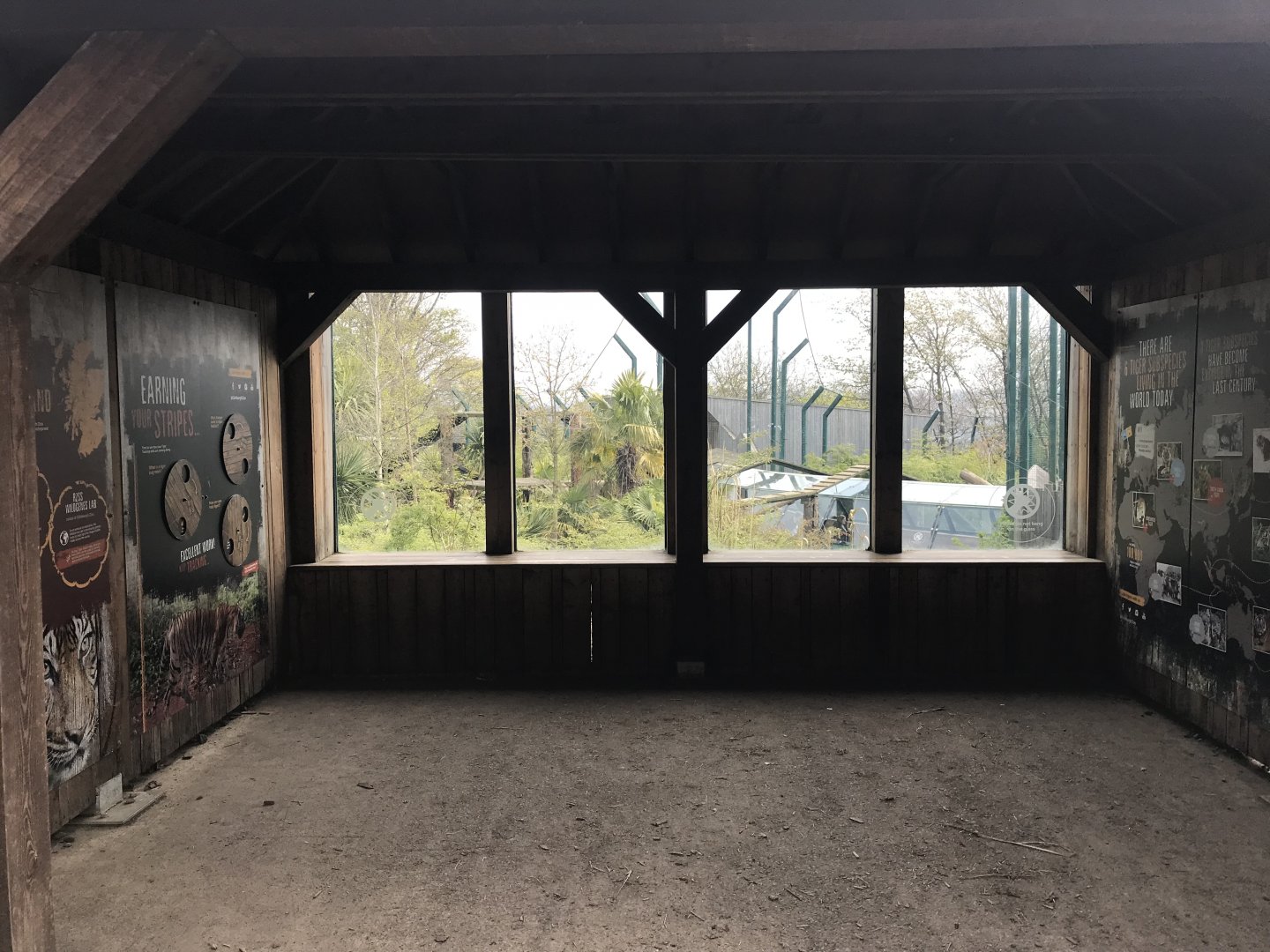 Sumatran tiger viewing area