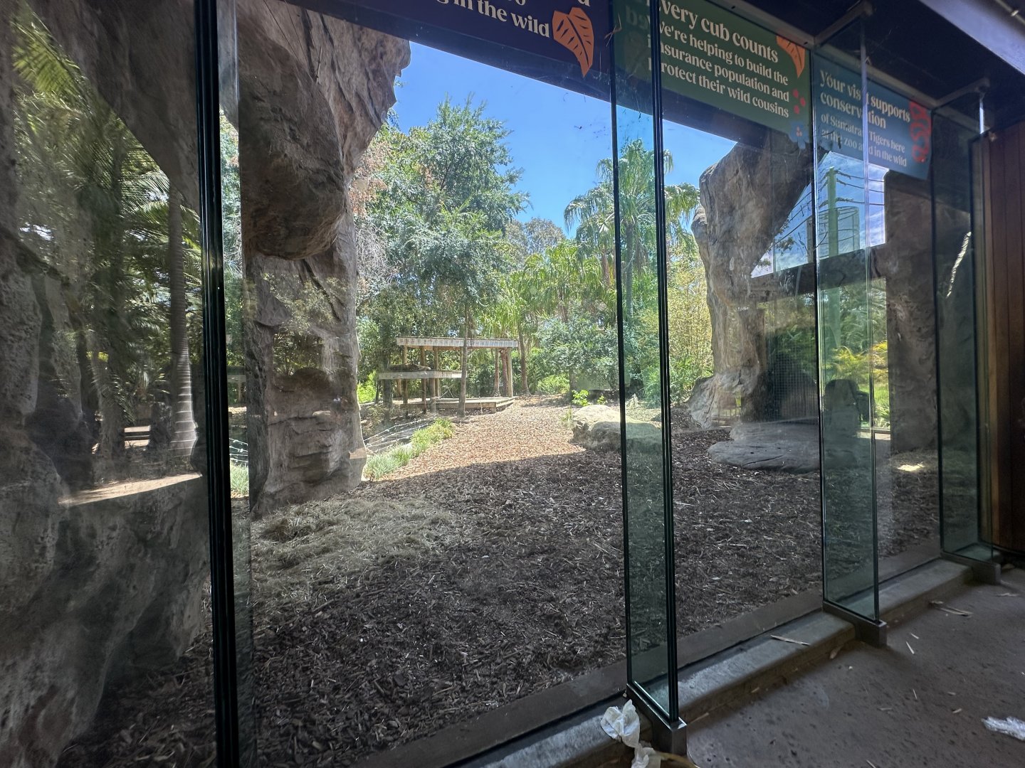 Sumatran tiger viewing exhibit