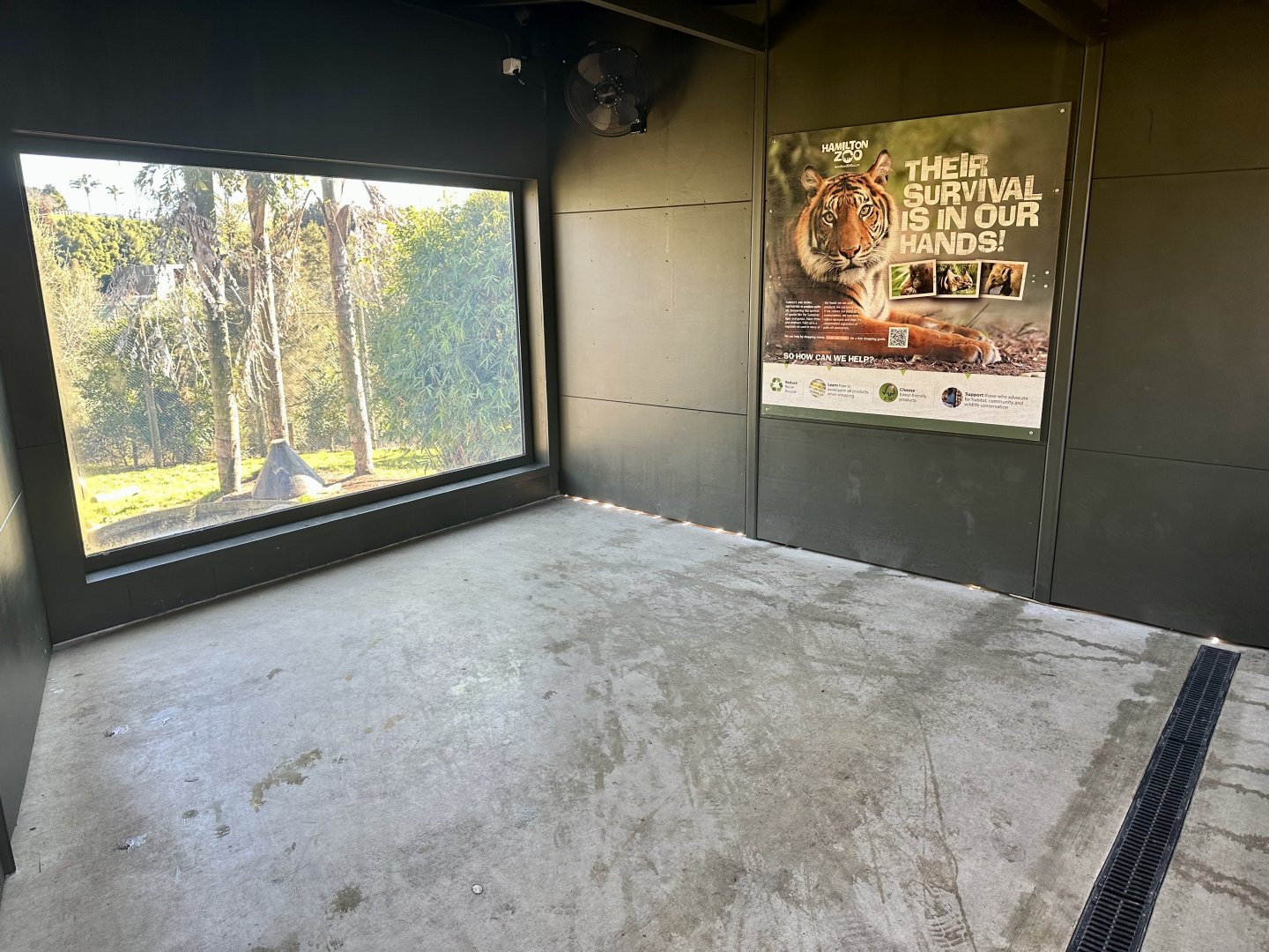 Sumatran Tiger Viewing Shelter (Small Exhibit)