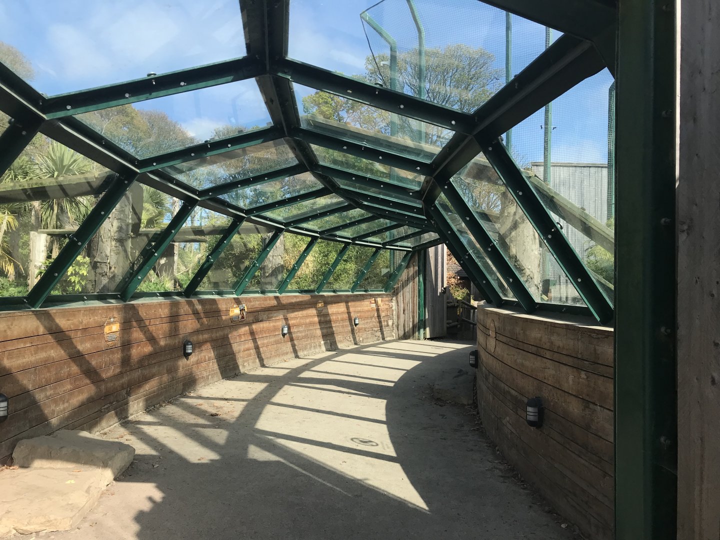 Sumatran tiger viewing tunnel
