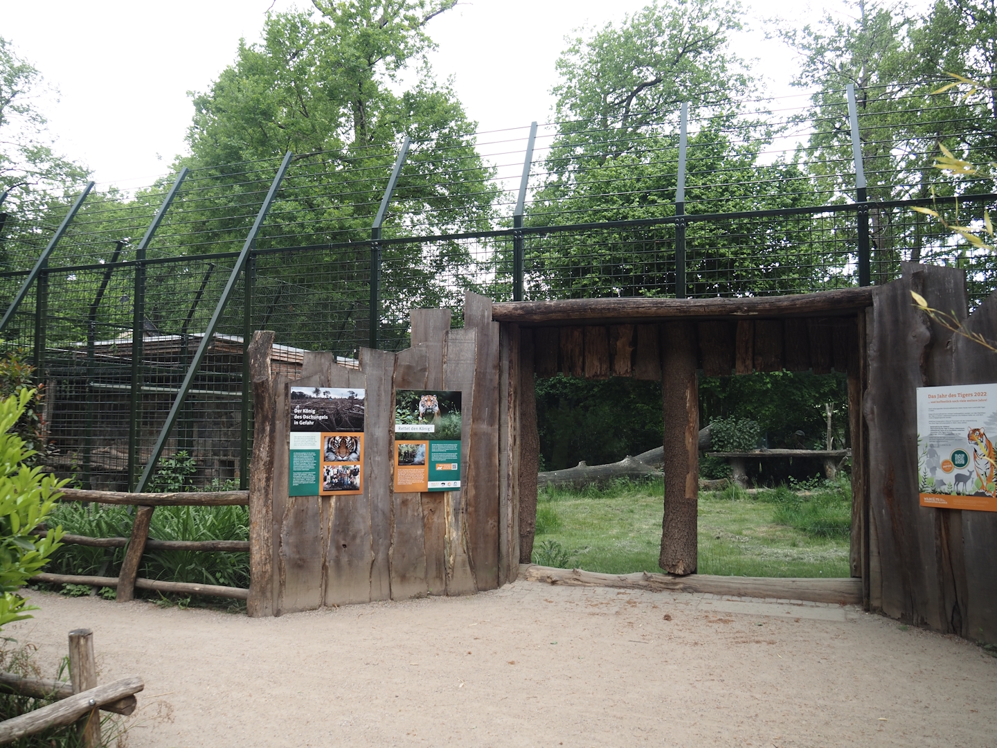 Sumatran tiger viewing window, 2025-05-22