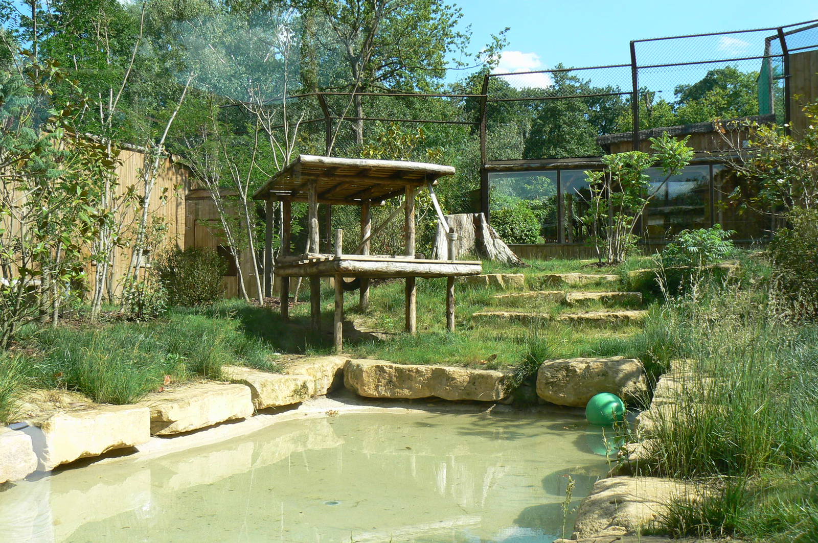 Sumatran tigers exhibit