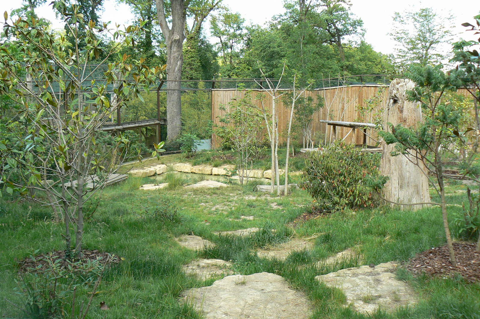 Sumatran tigers exhibit