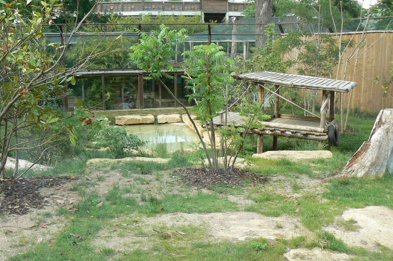 Sumatran tigers exhibit