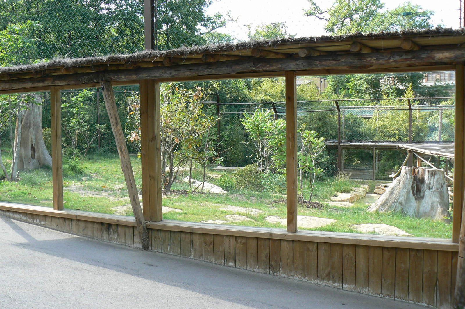 Sumatran tigers exhibit