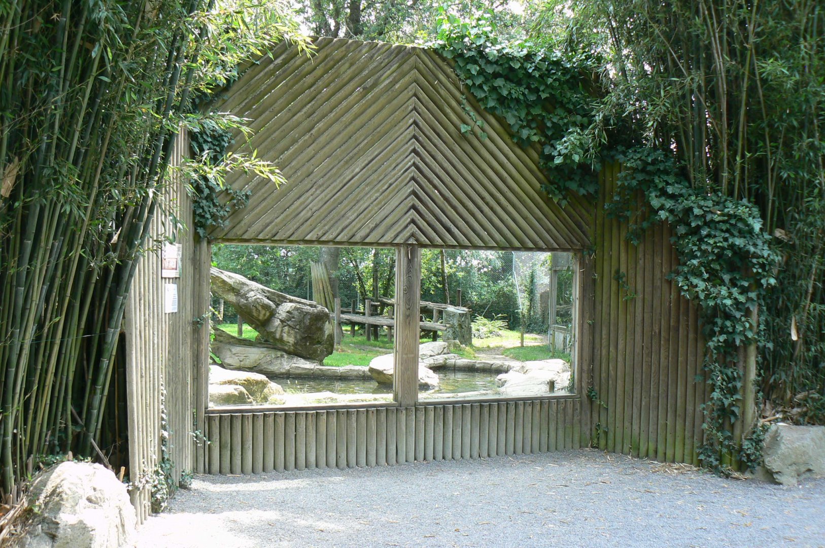 Sumatran tigers exhibit