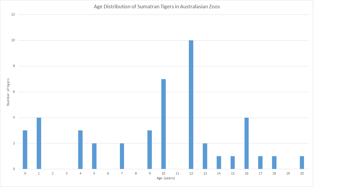 Sumatran Tigers in Australasian Zoos