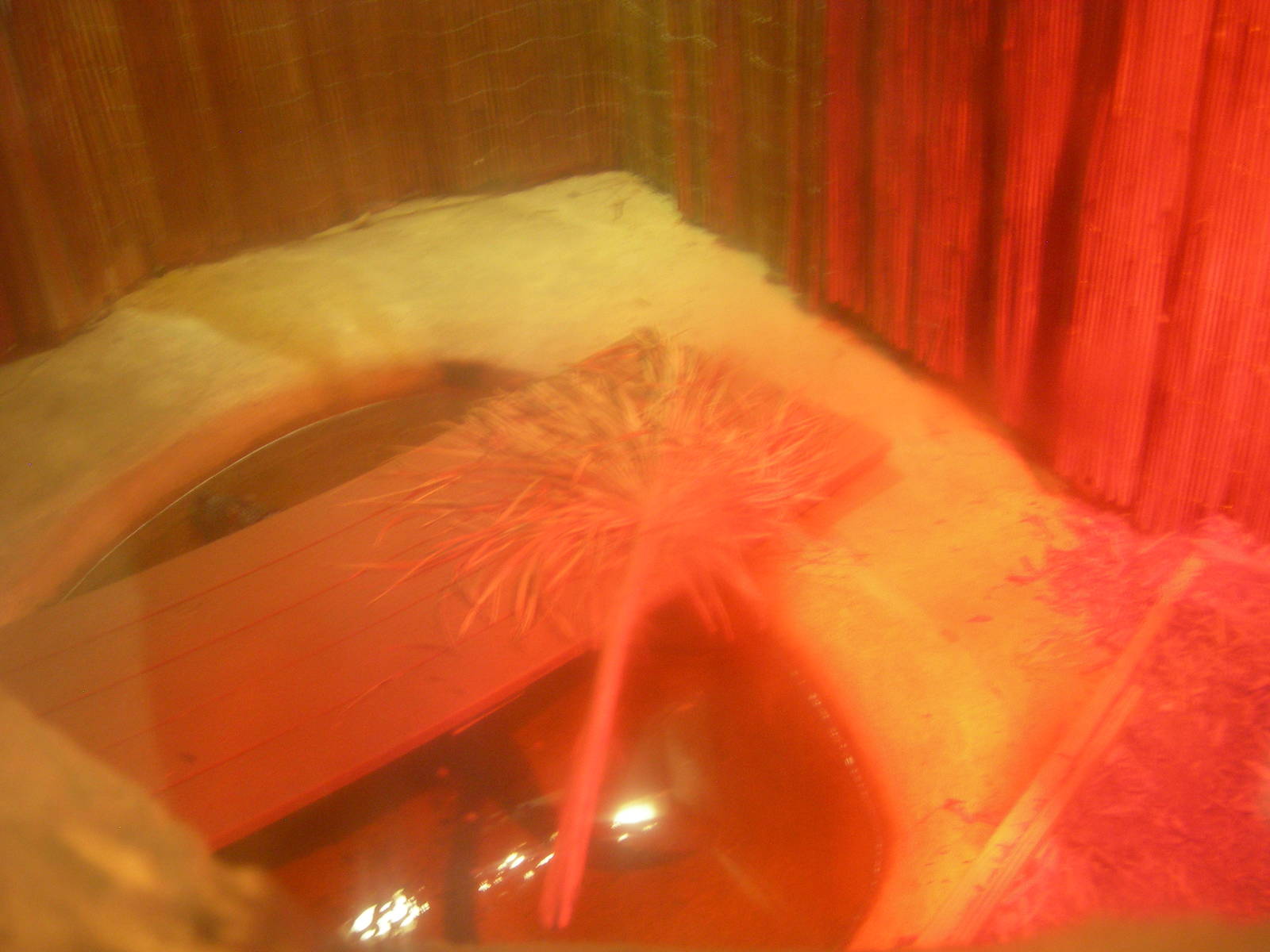 summer 2012 Chinese alligator Exhibit