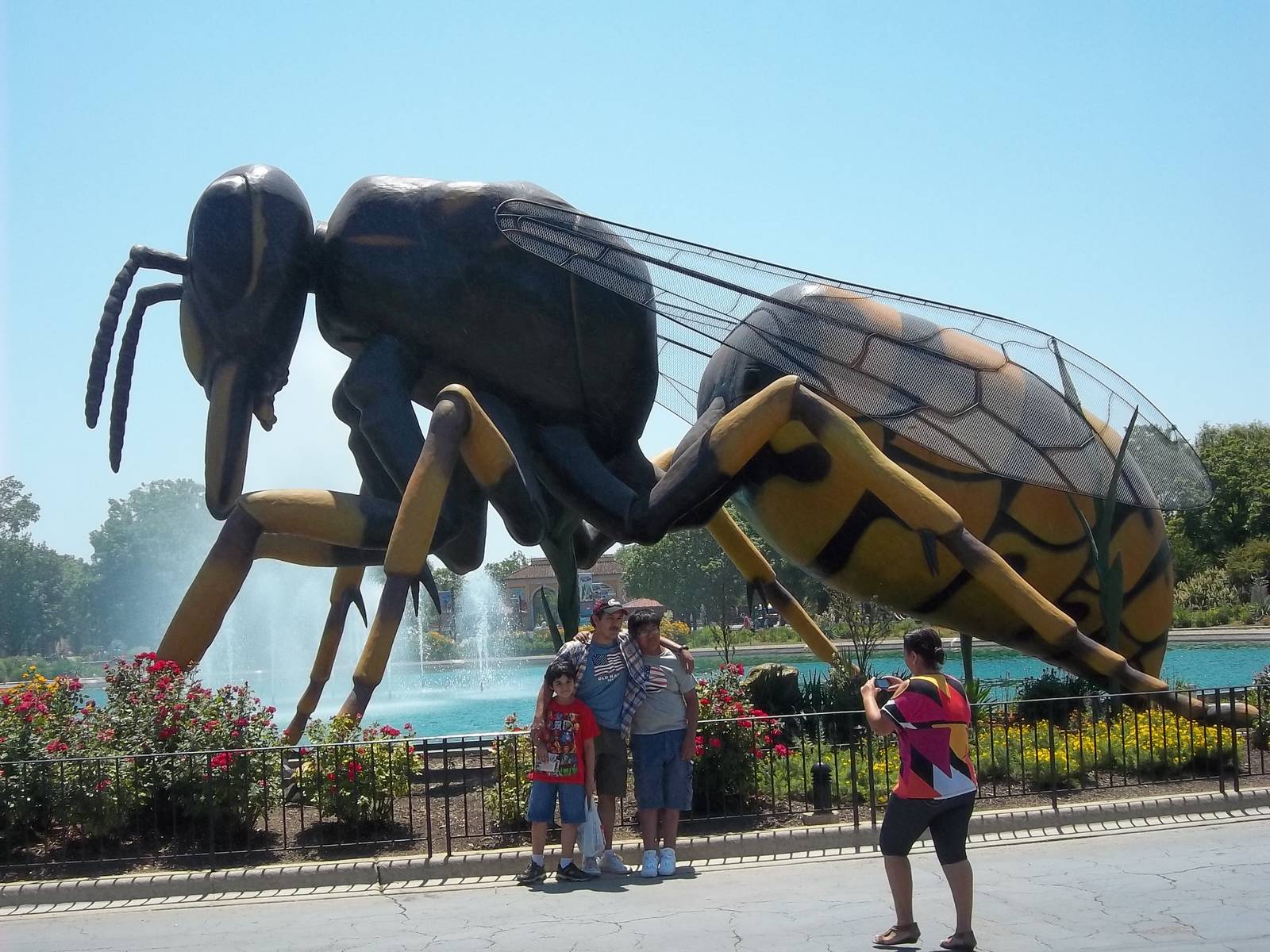 Summer Exhibit Xtreme Bugs