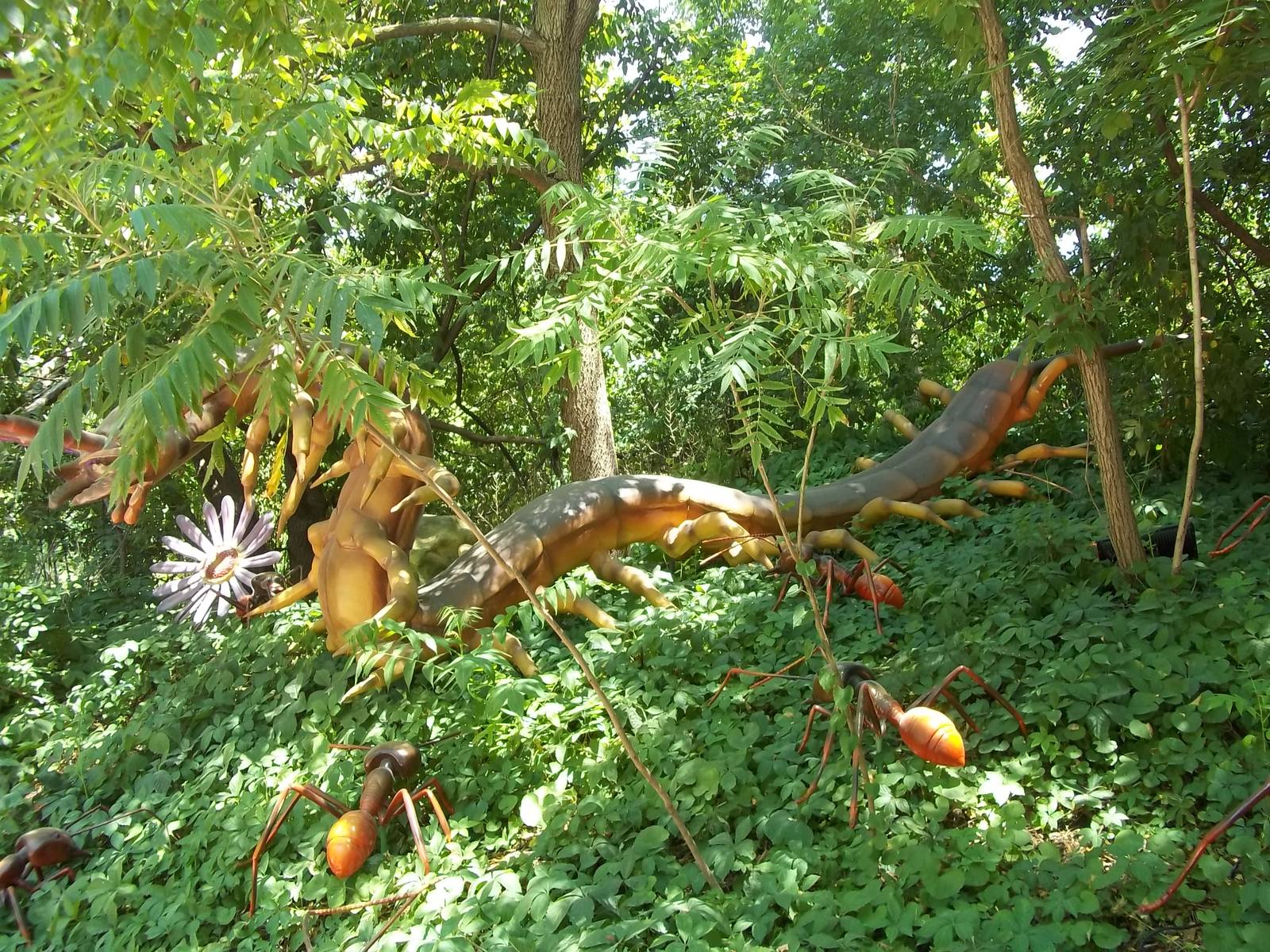 Summer Exhibit Xtreme Bugs