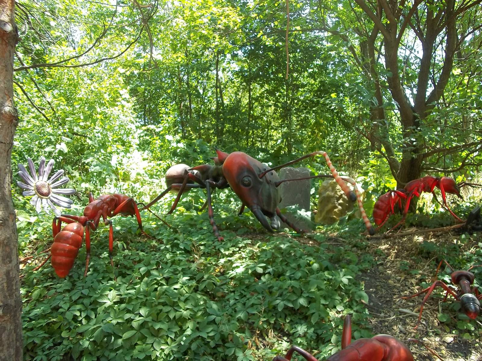 Summer Exhibit Xtreme Bugs