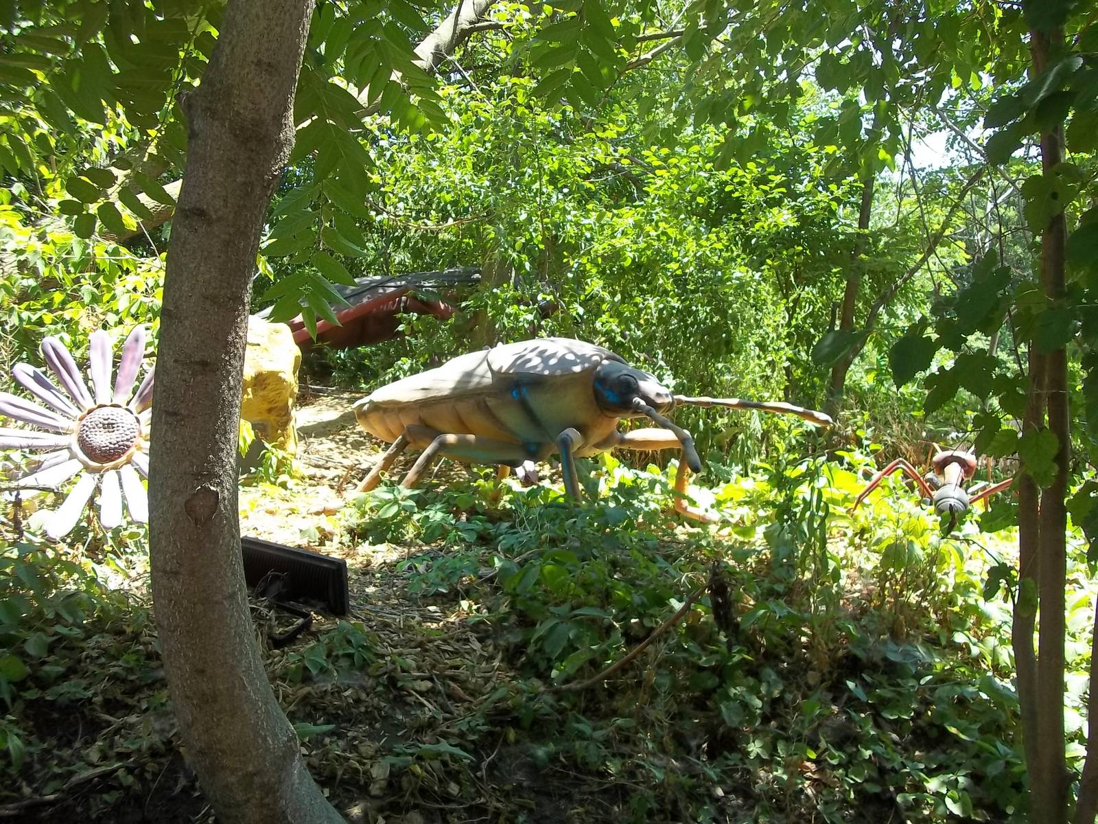 Summer Exhibit Xtreme Bugs