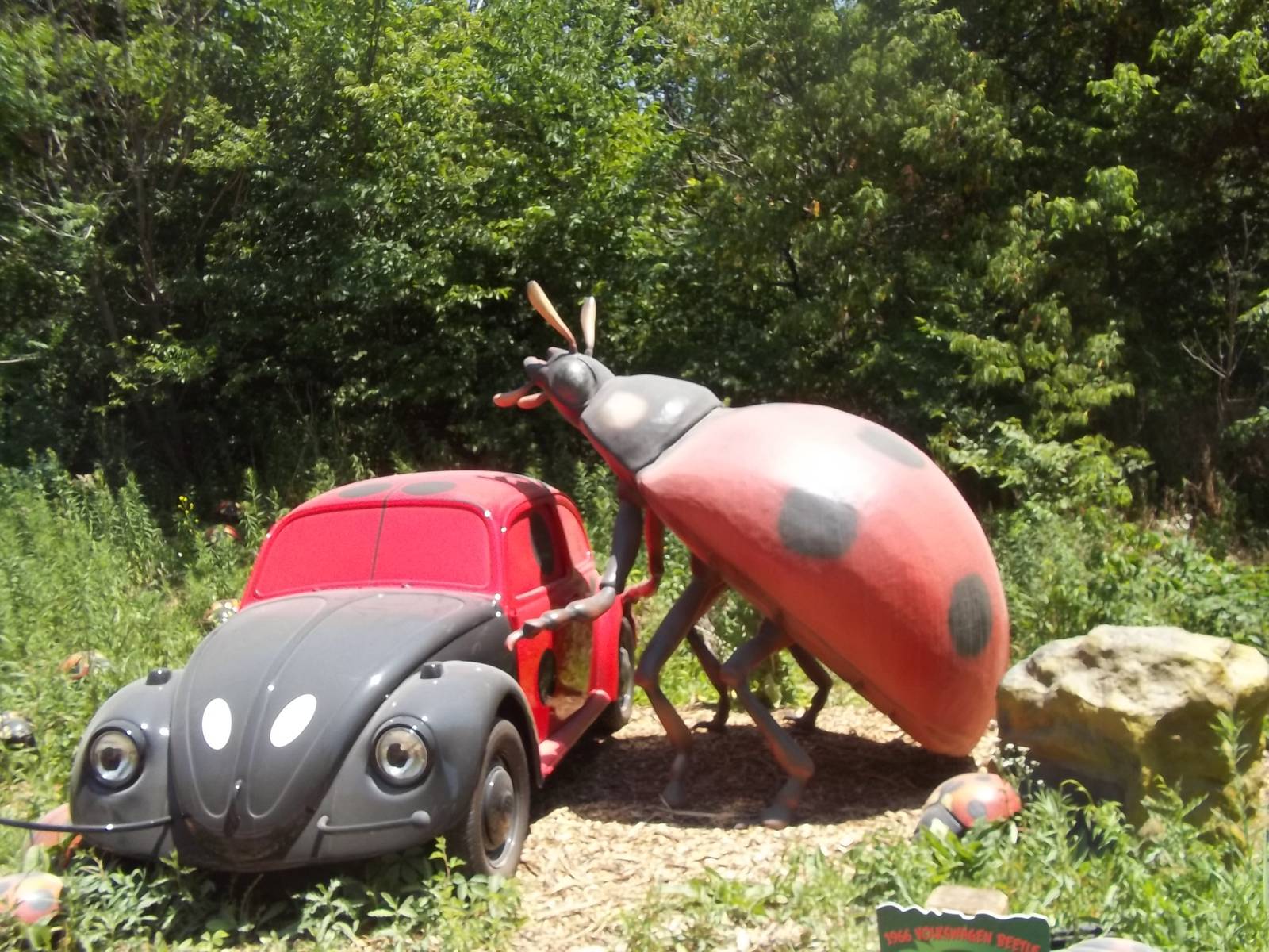 Summer Exhibit Xtreme Bugs