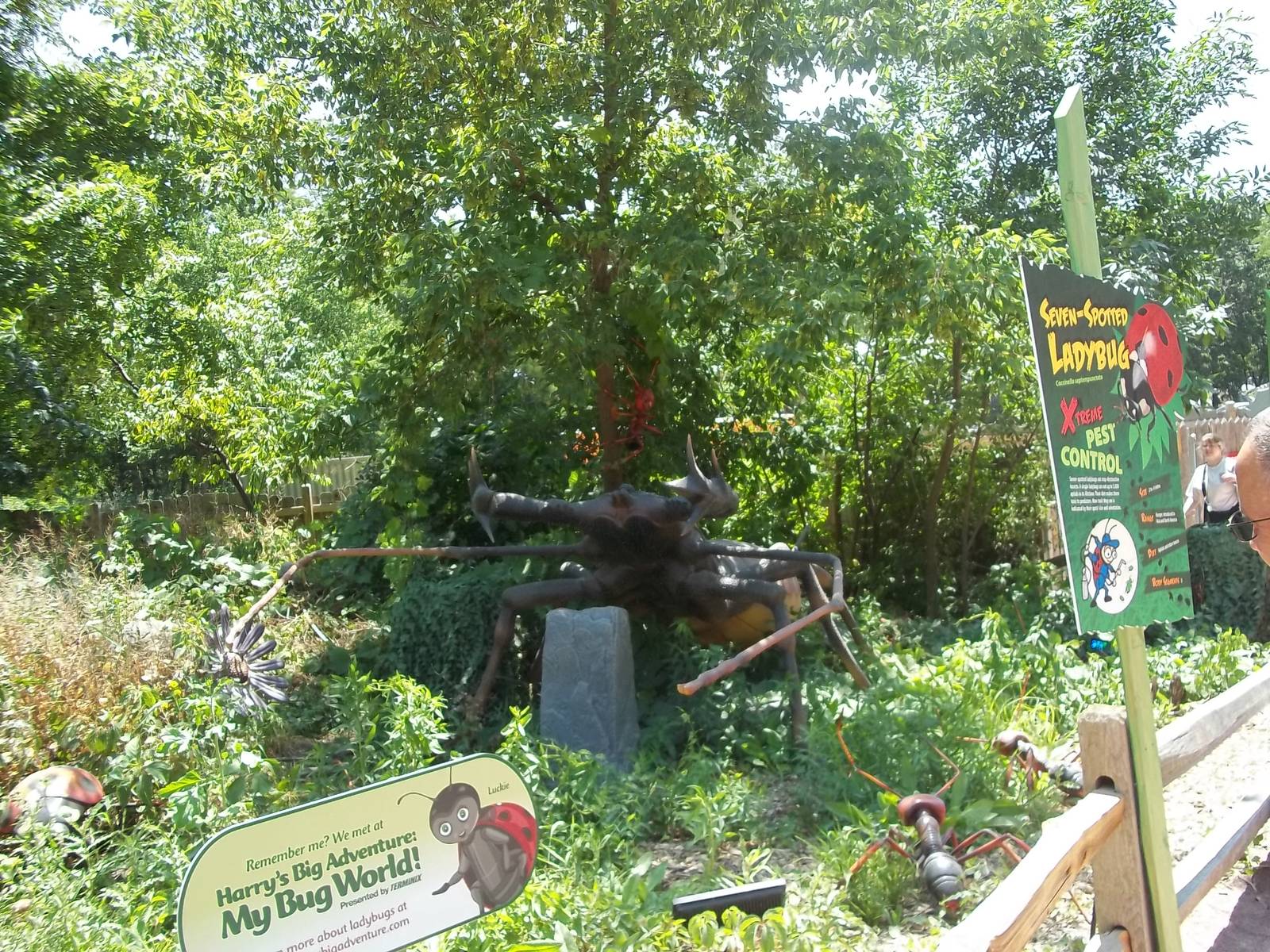 Summer Exhibit Xtreme Bugs